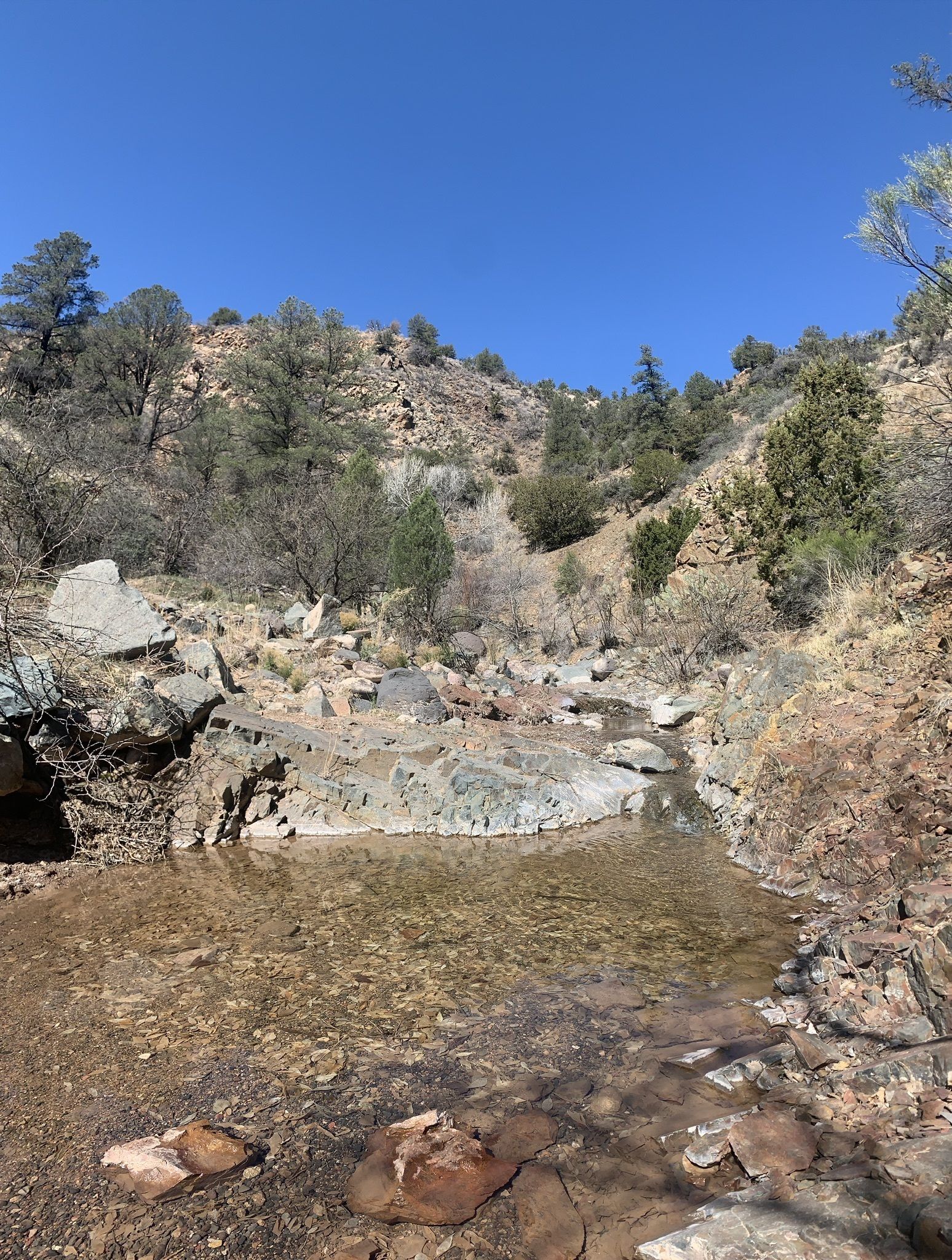 Copper Canyon Loop Trail 504