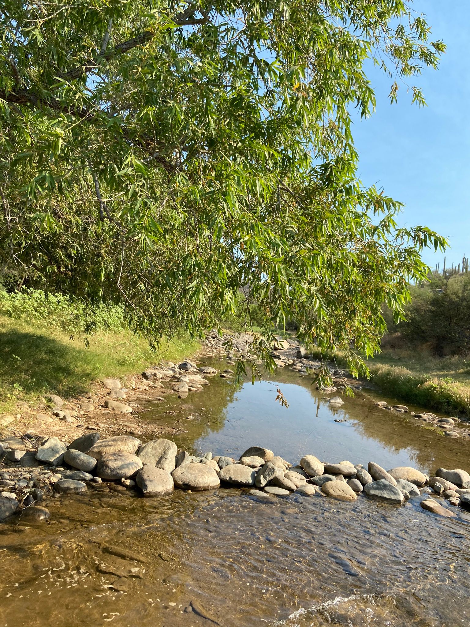Castle Creek Road to Cleator