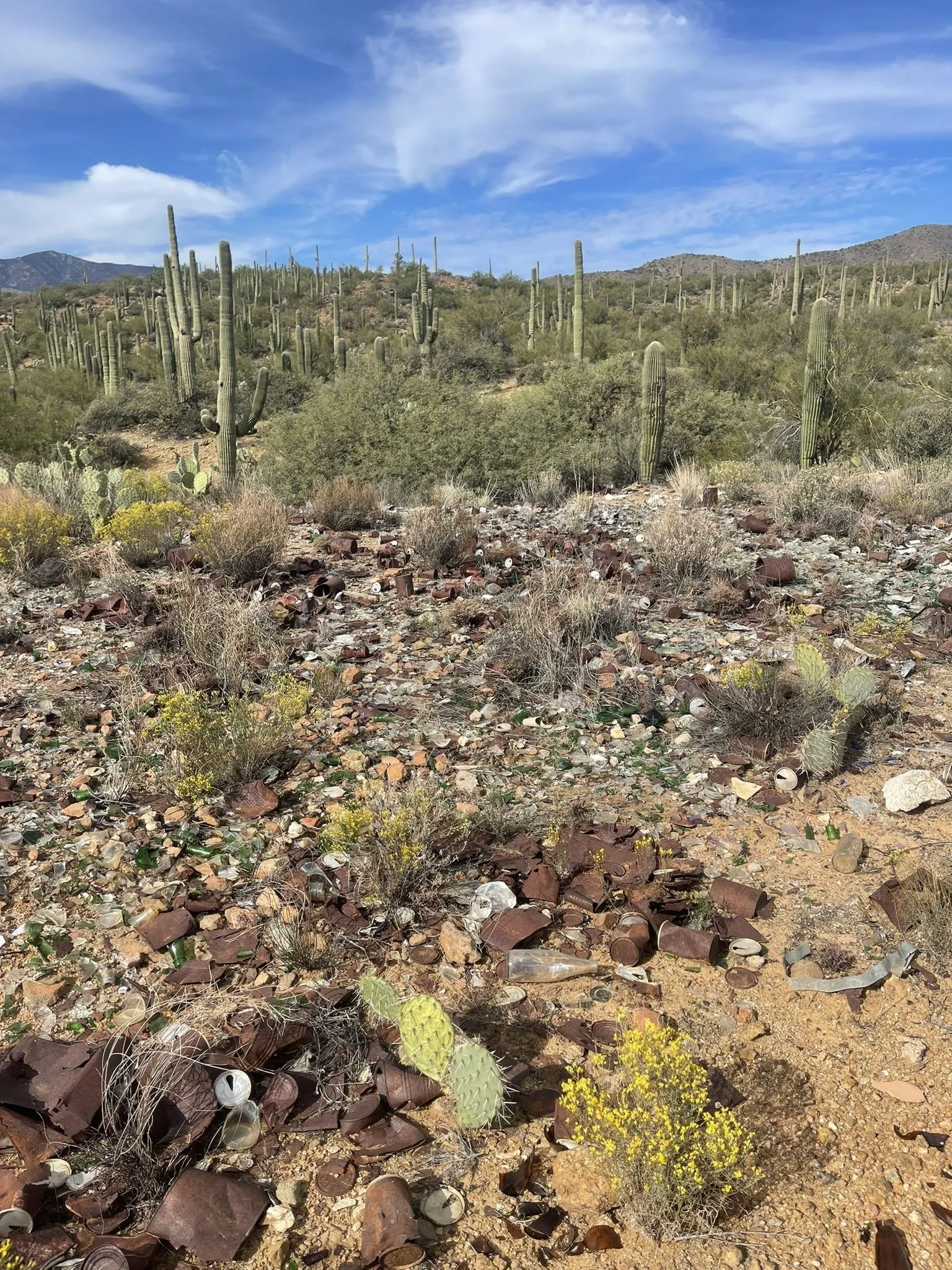 Zig Zag Trail