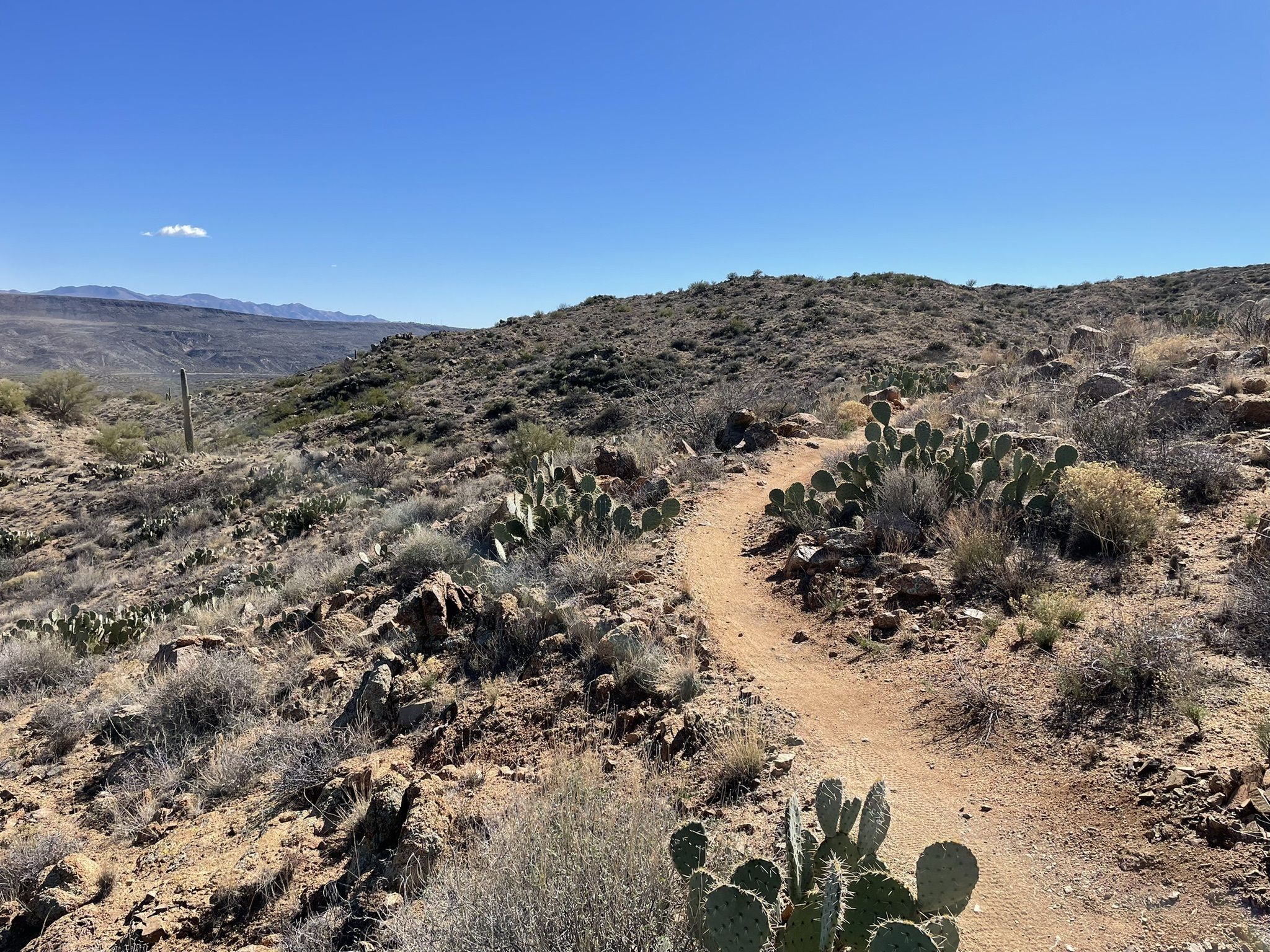 Government Springs Trail