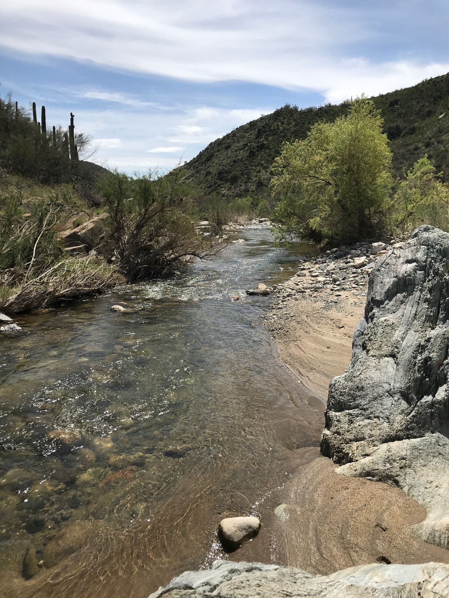 Castle Creek Road to Cleator