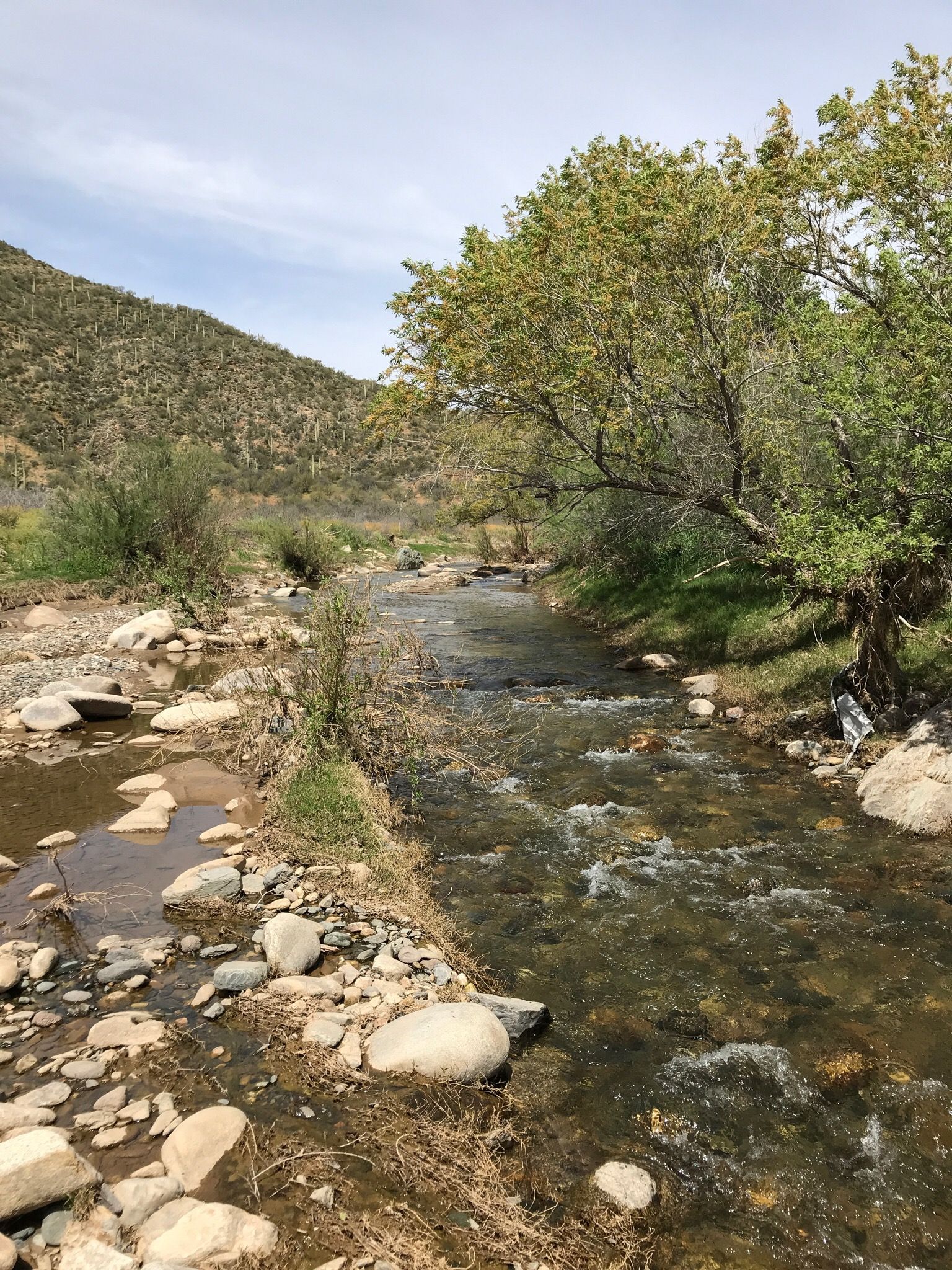 Castle Creek Road to Cleator