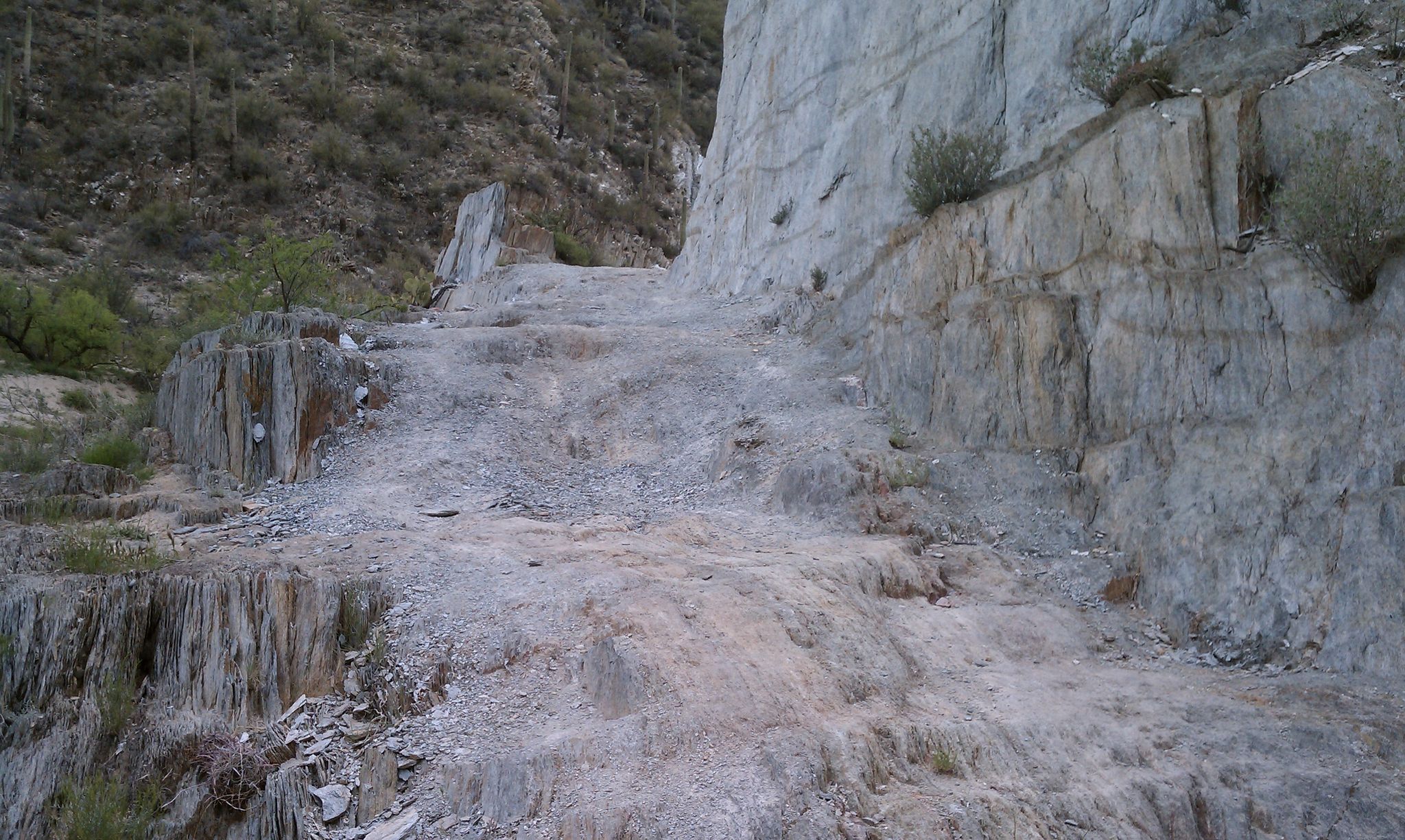 Castle Creek Road to Cleator