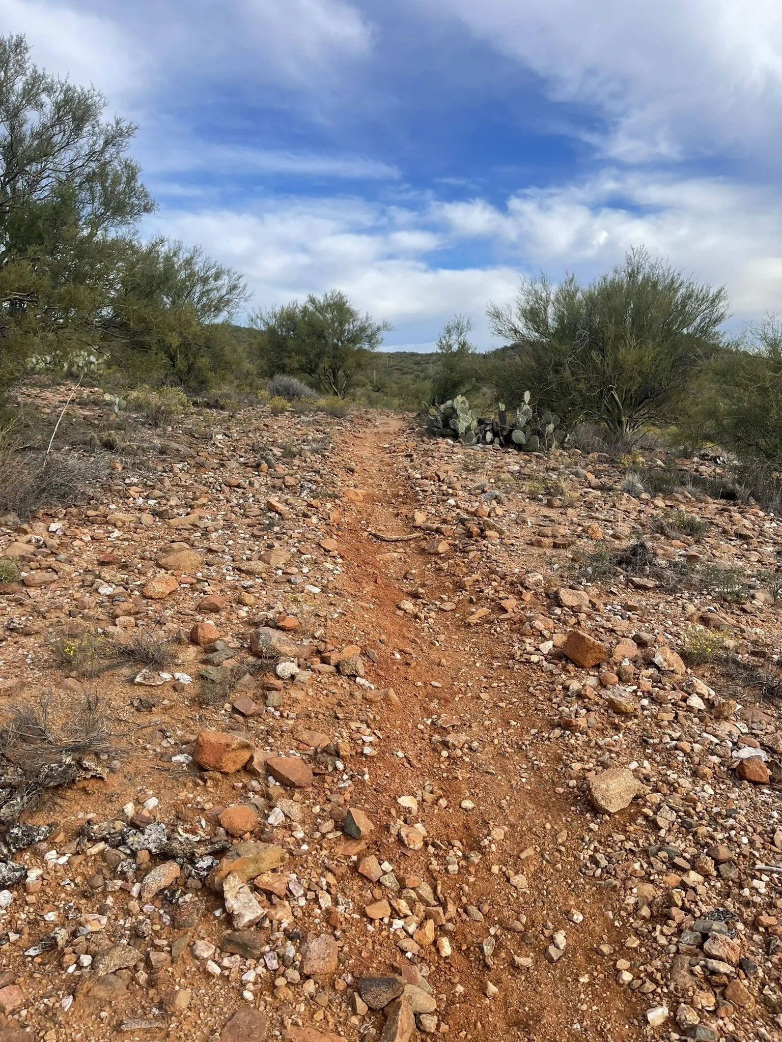 Zig Zag Trail