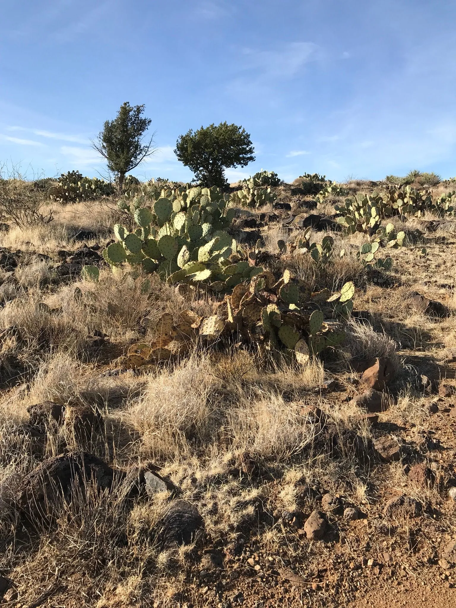 Richinbar Mine and Pueblo Trail