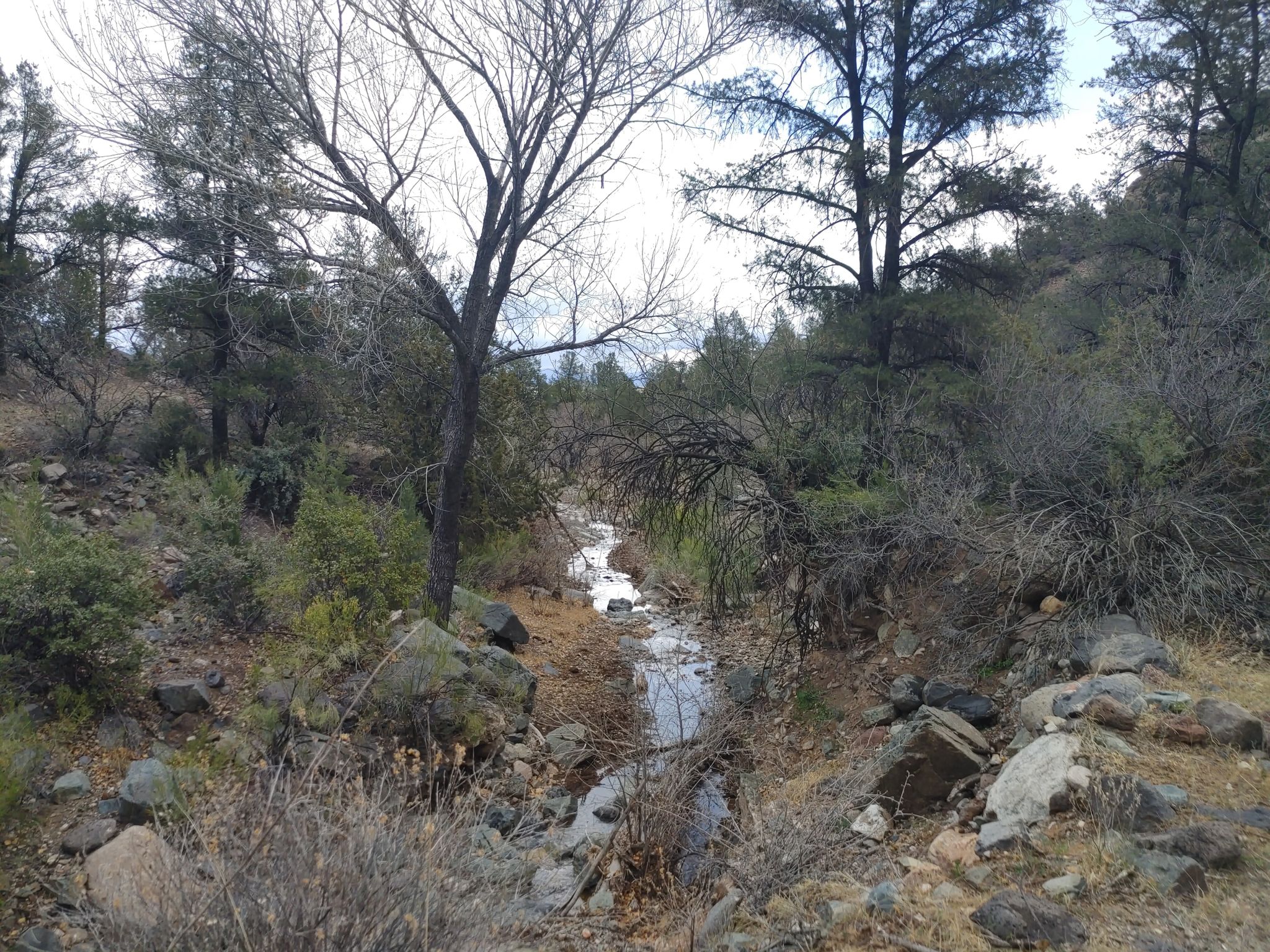 Copper Canyon Loop Trail 504