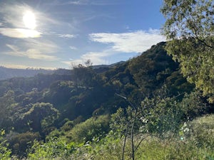 Griffith Park Old Zoo Loop
