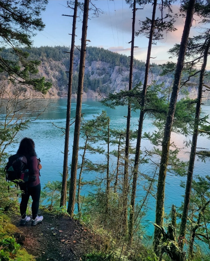 A person is looking out over teal water with mountains off on the left shoreline and sparse trees in front of them.