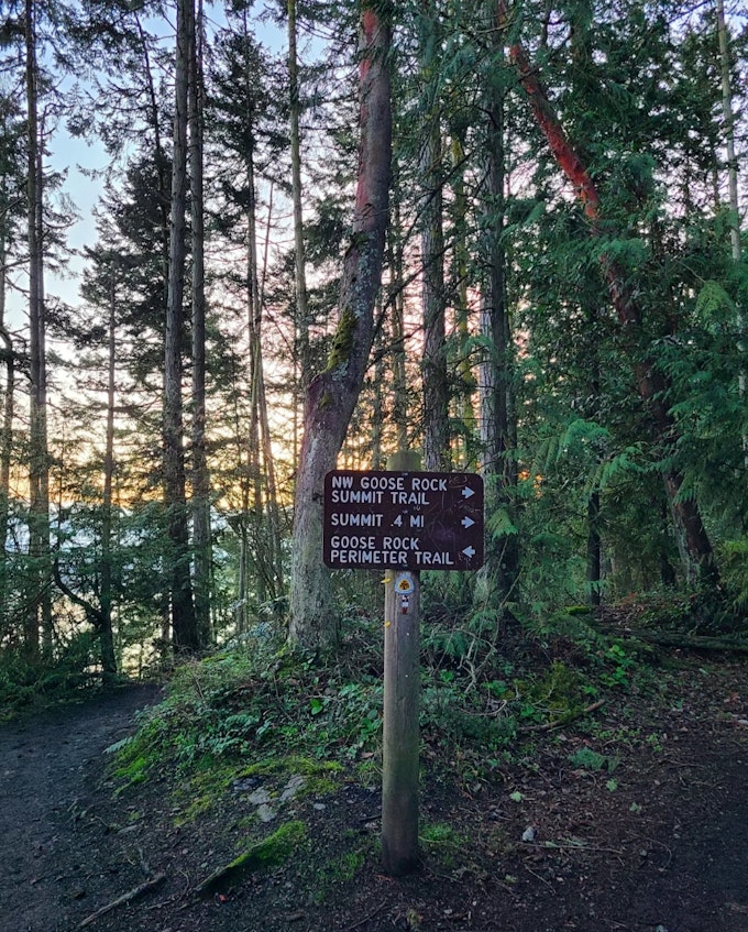 A forest with a path through it and a trail sign that points to NW Goose Rock Summit Trail, Summit .4 miles, and Goose Rock Perimeter Trail.