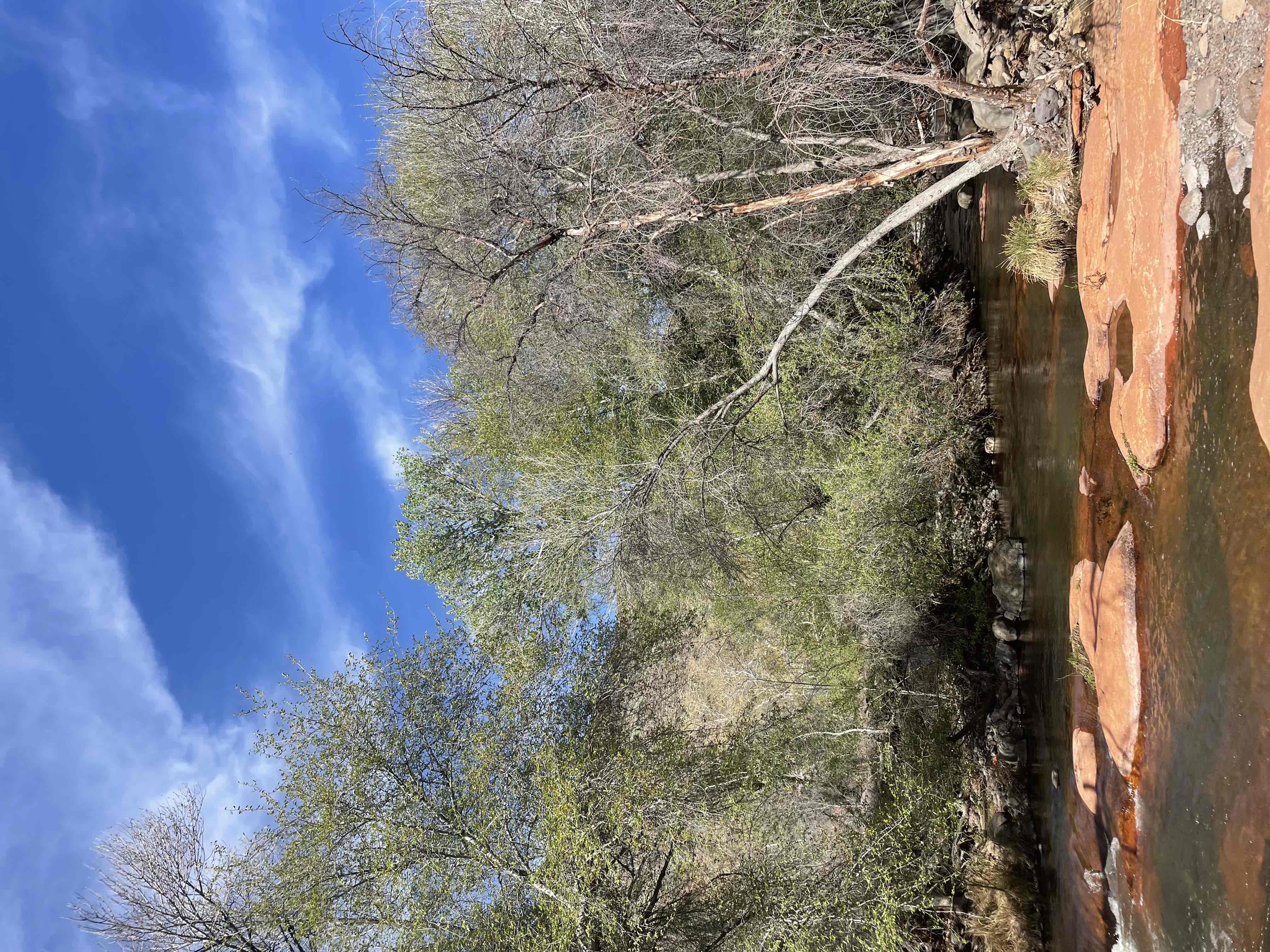 Bell Trail