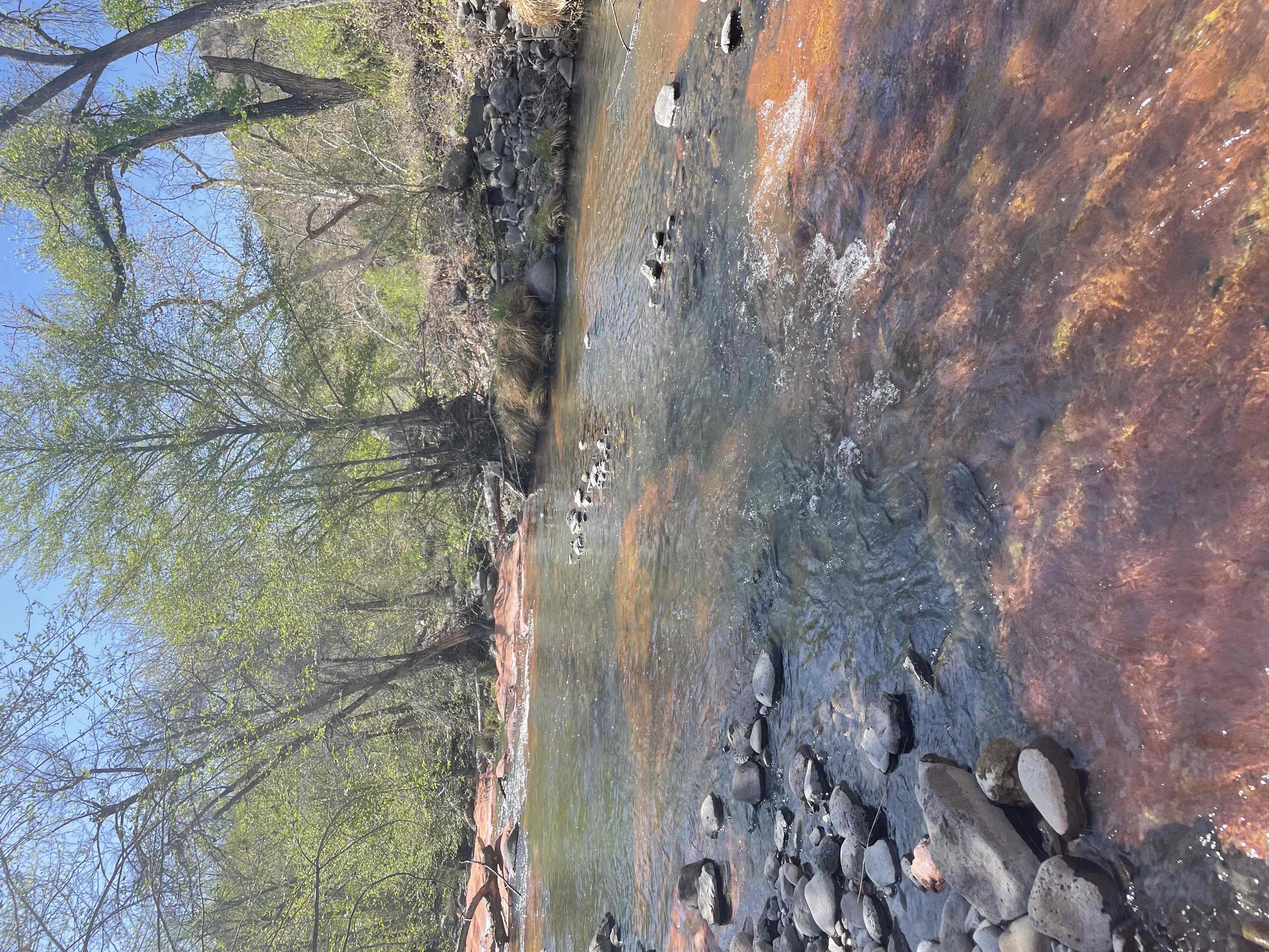 Bell Trail