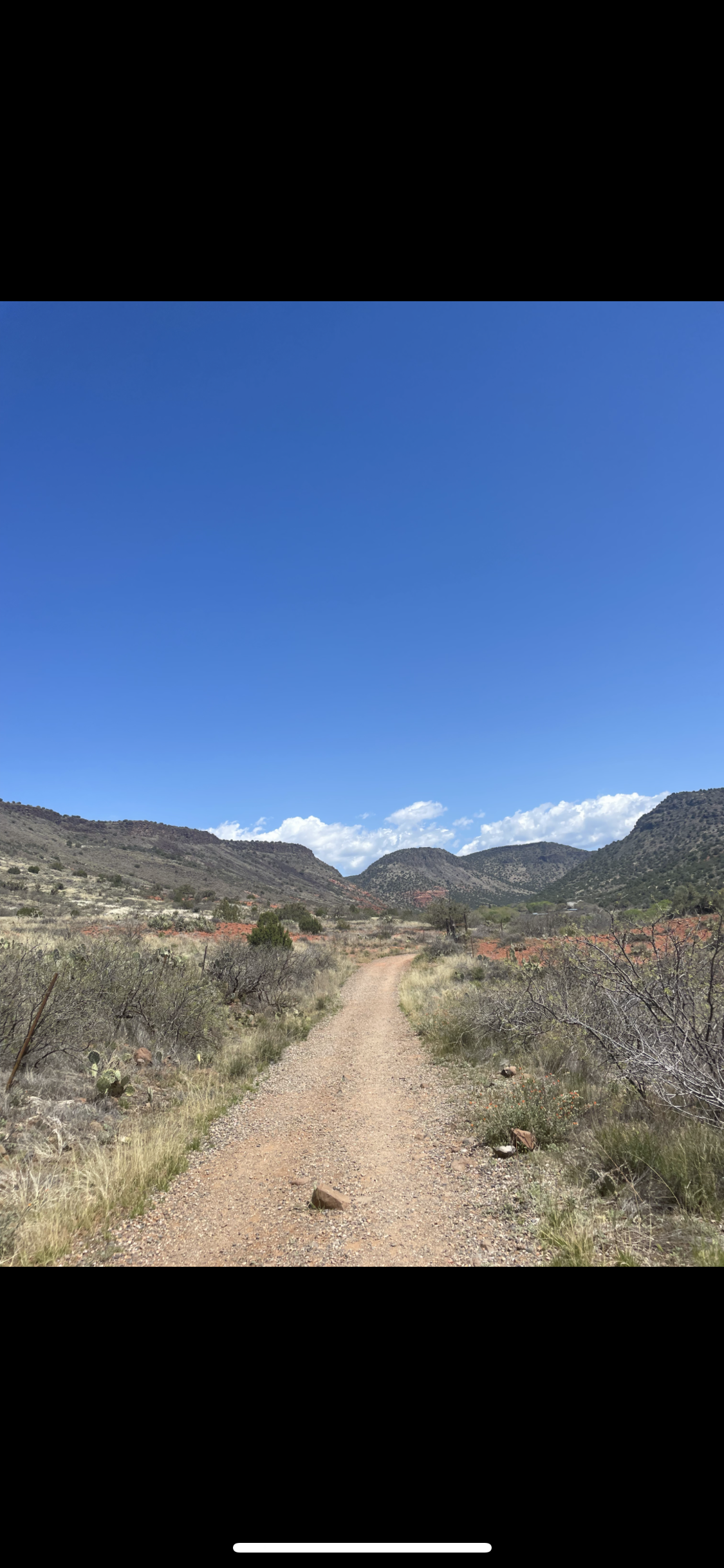 Bell Trail