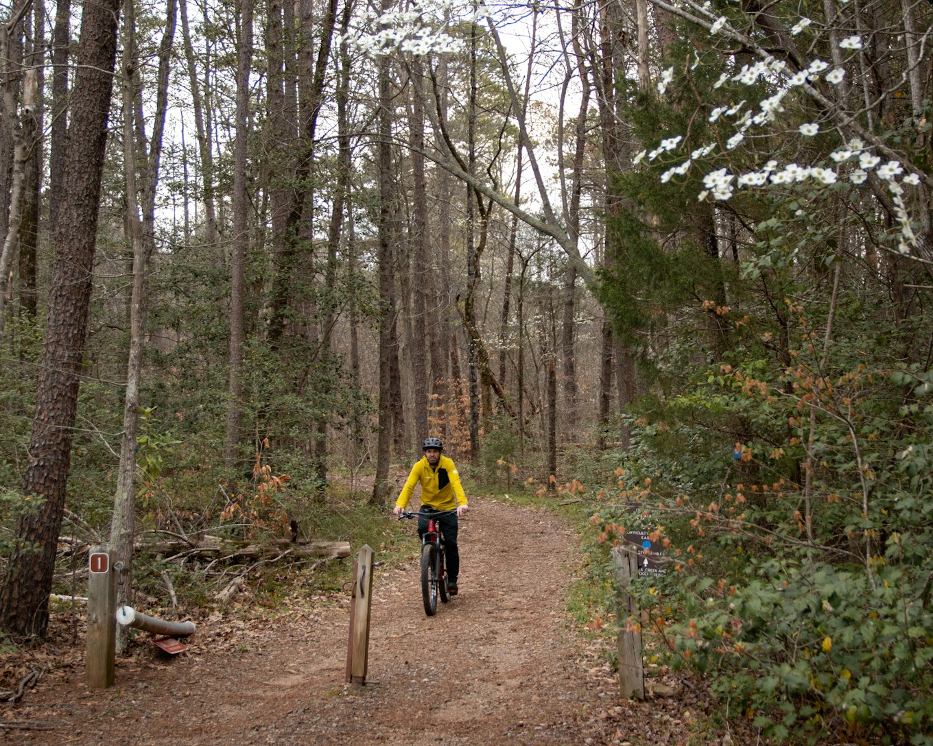 Lake norman 2024 mtb trails