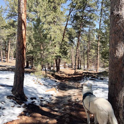 Hike the Enchanted Mesa Trail