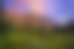 A hiker walks through a meadow dotted with yellow wildflowers that overlooks a green forest and mountainous landscape under a blue and purple sky in Kings Canyon National Park.