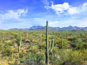 8 Coolest under-the-radar National Parks in the US