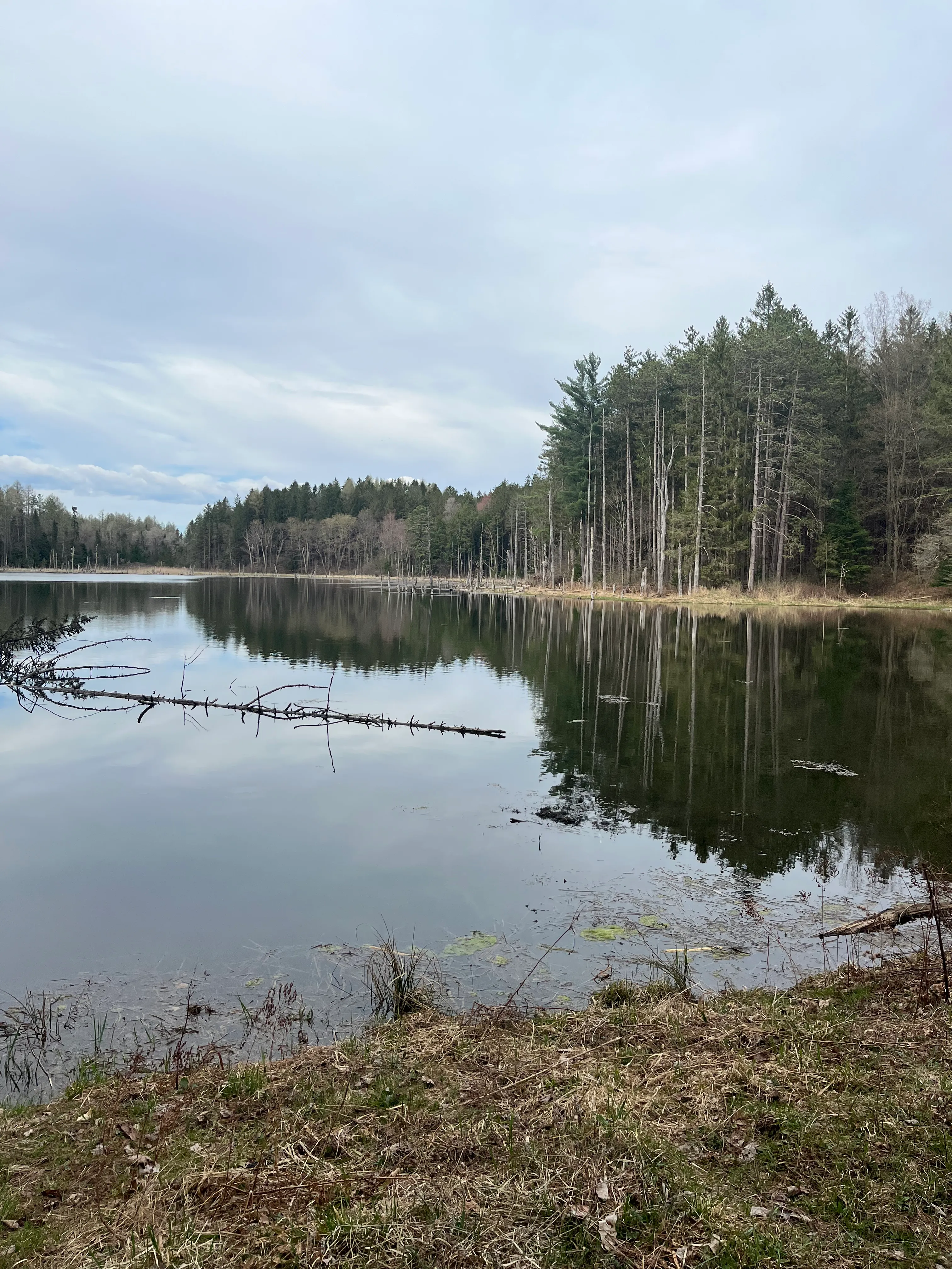 Spruce Pond