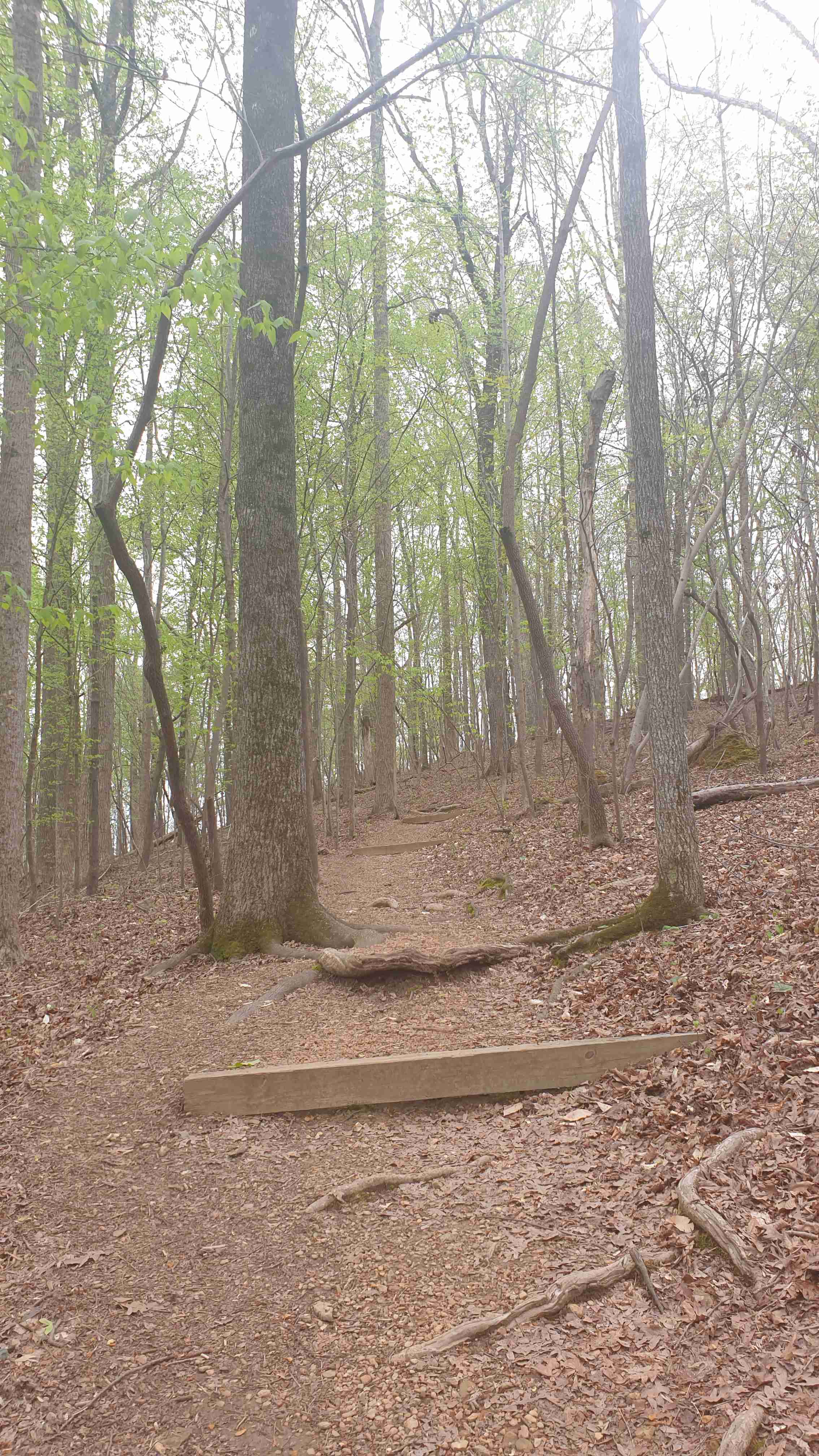North Carolina Botanical Garden