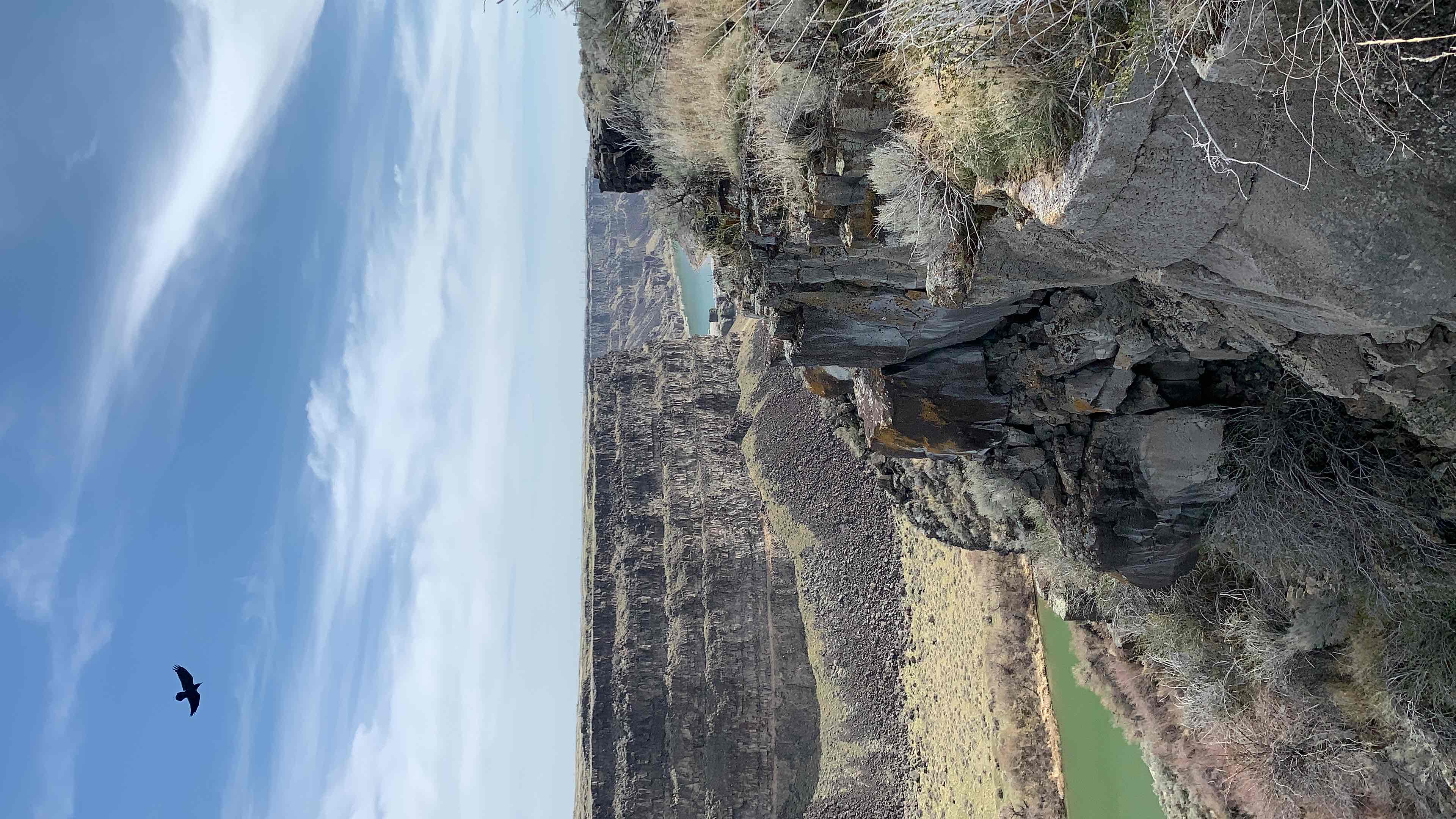 Perrine Bridge and Perrine Coulee Falls