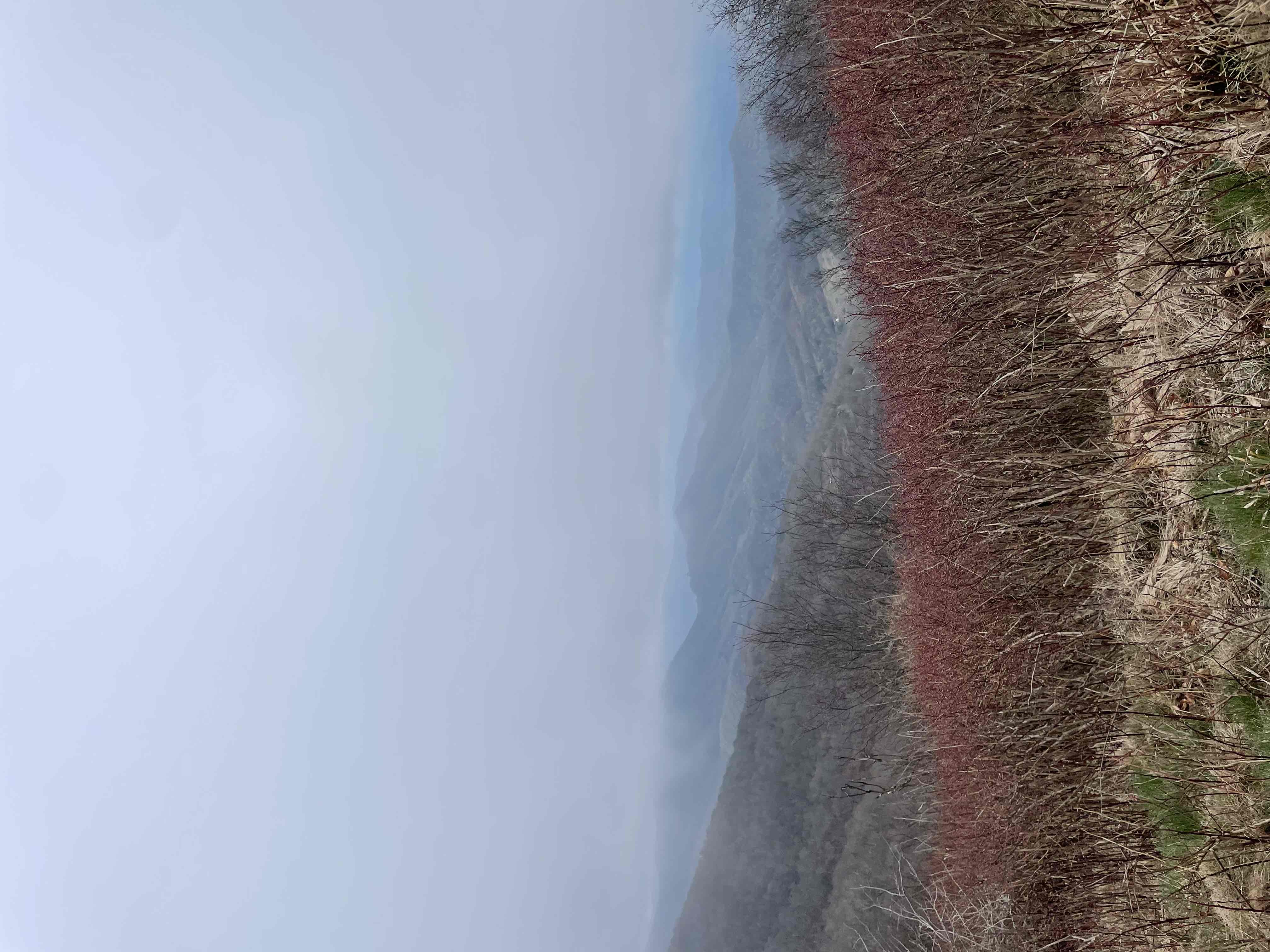 Jane Bald via Appalachian Trail