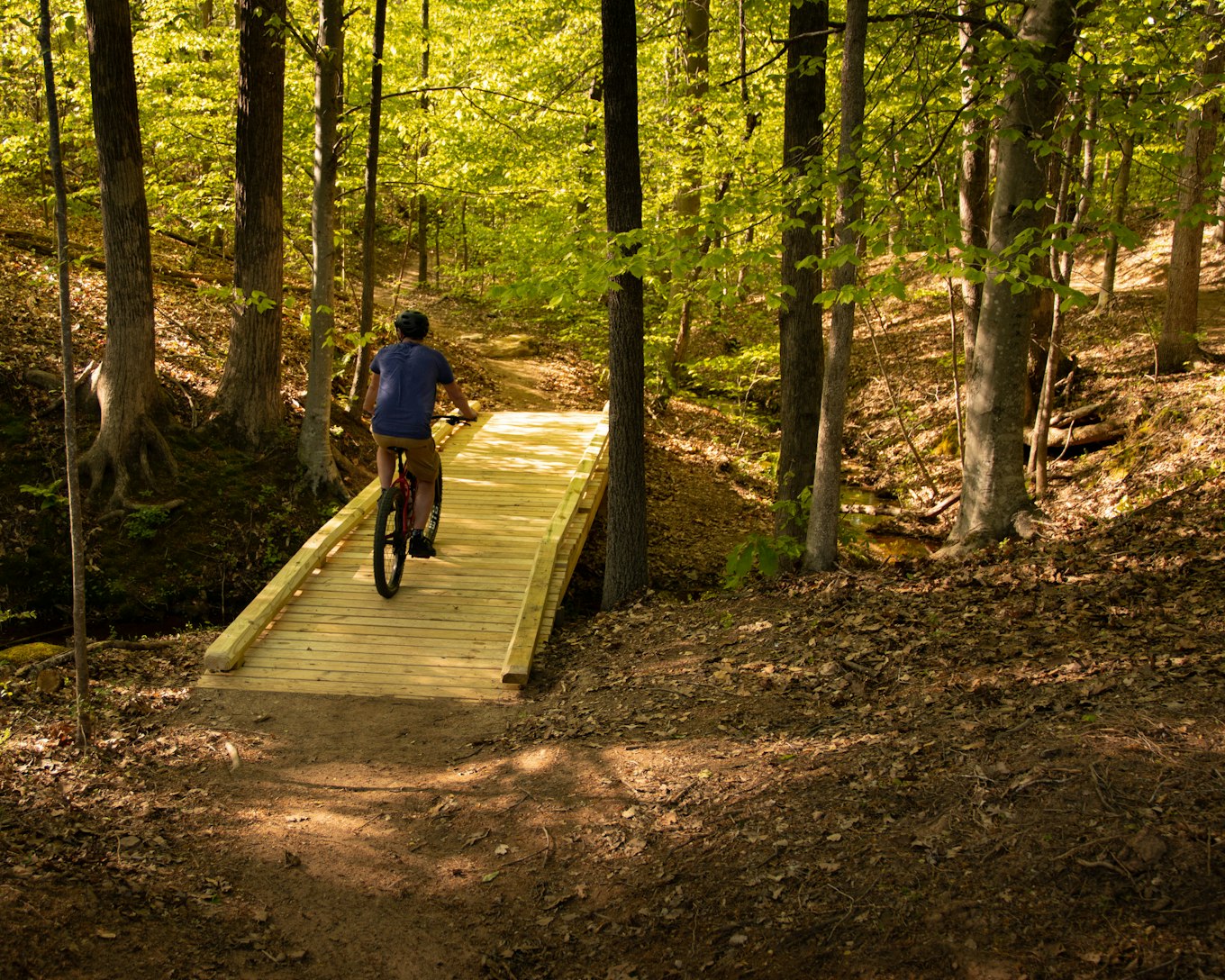 Lake norman state cheap park mountain bike trails