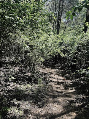 Hike the Trails at Fontanel