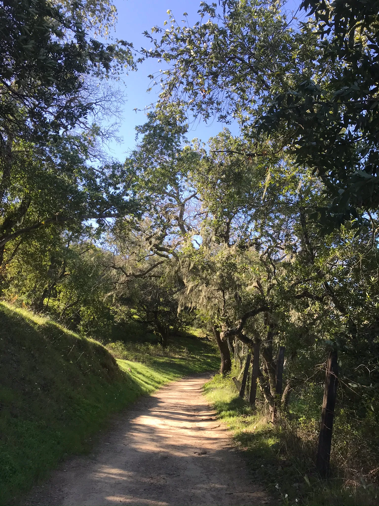 North Levee Trail