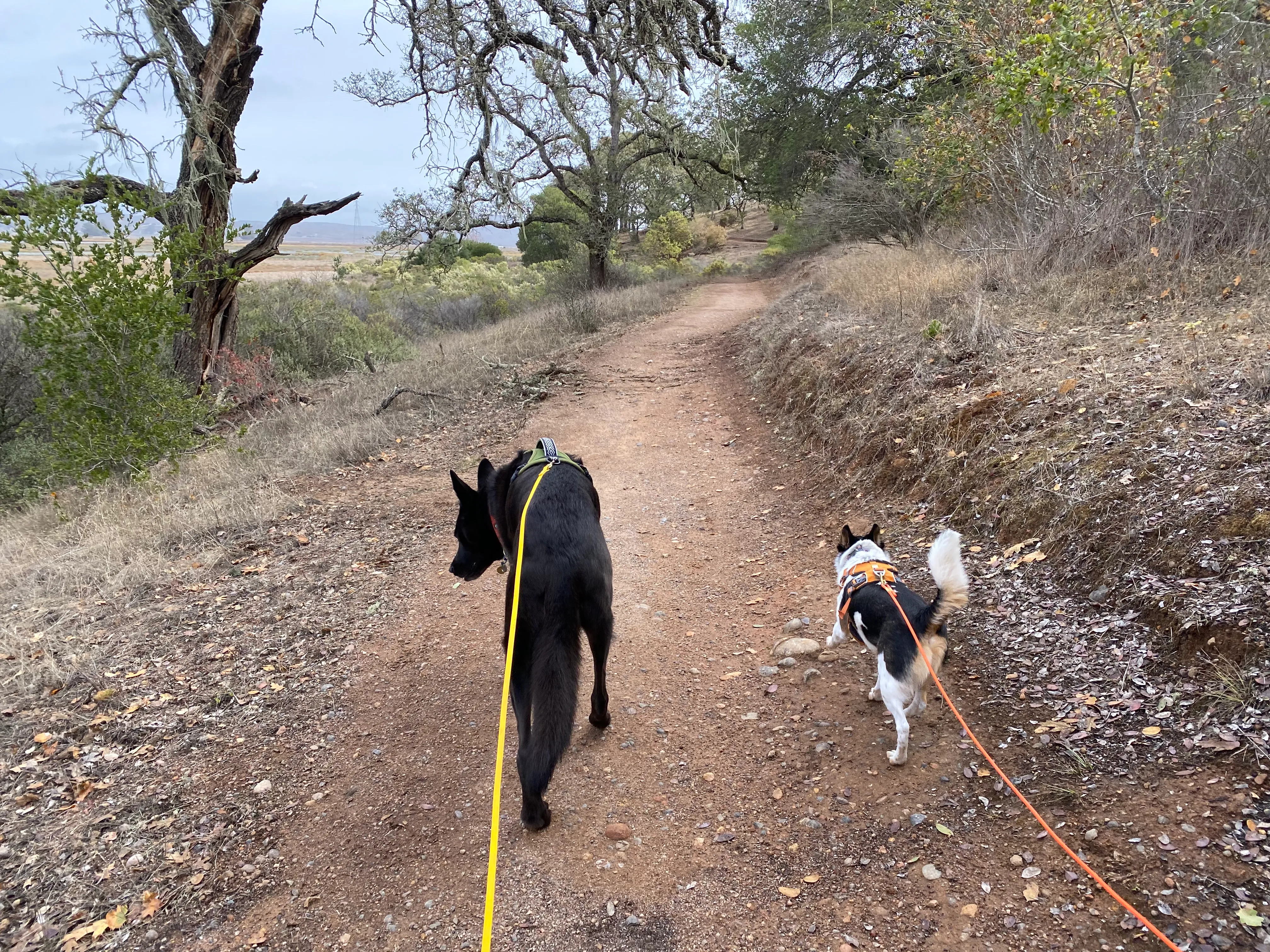 North Levee Trail