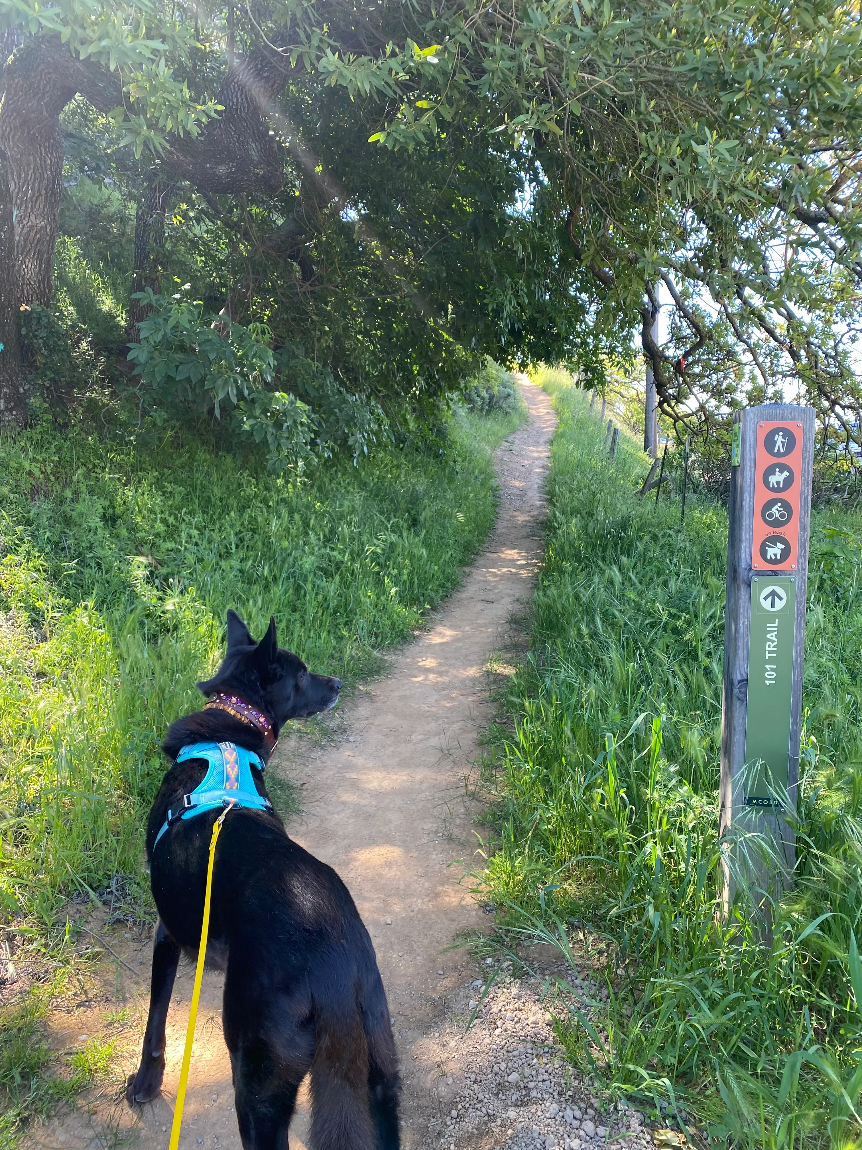 North Levee Trail