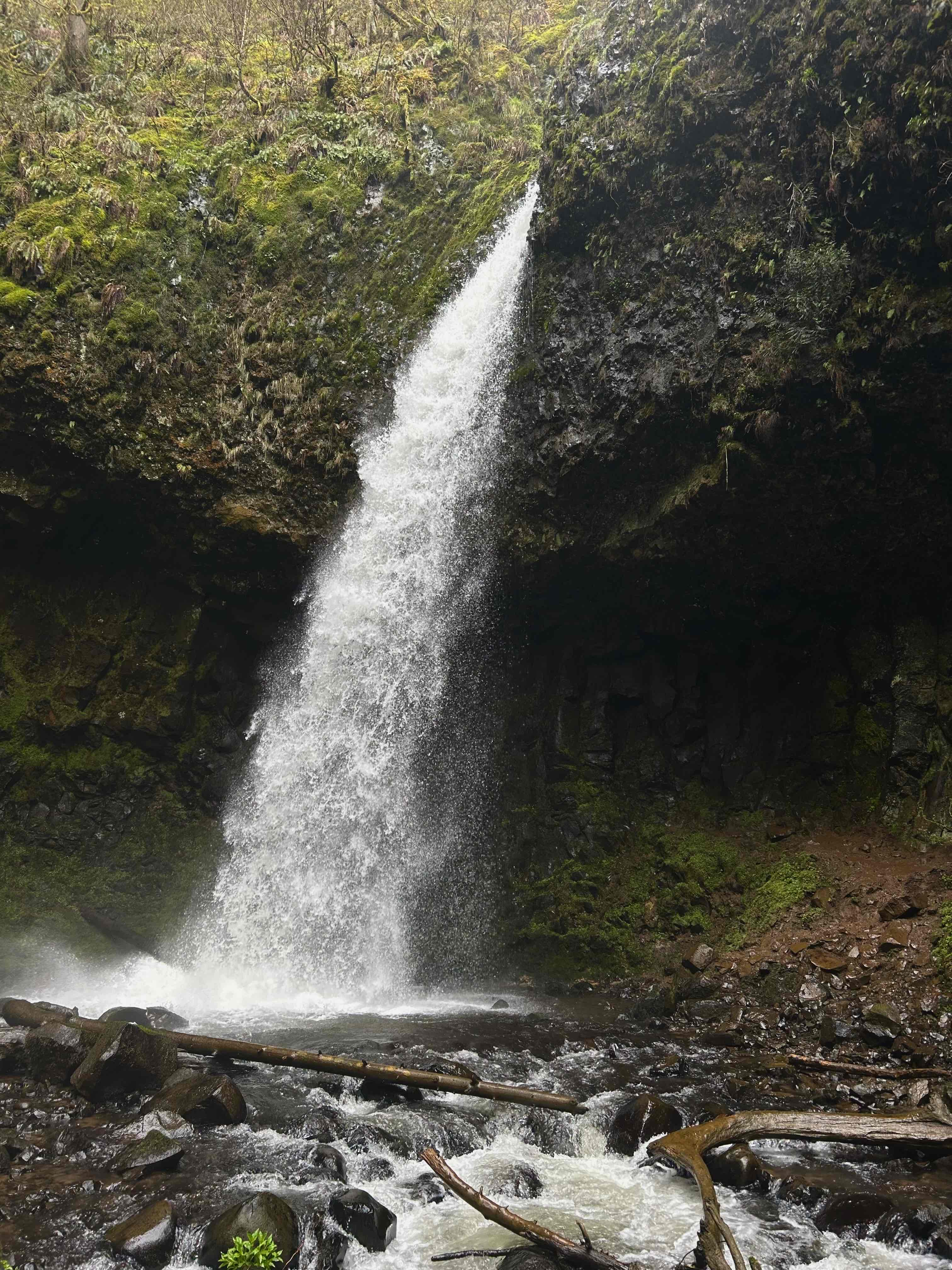 Latourell Falls Loop
