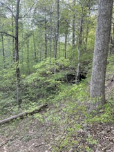 Resurgence Cave