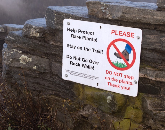 A white metal sign hangs on a rock wall with graphics telling onlookers to watch their step and protect rare plants.