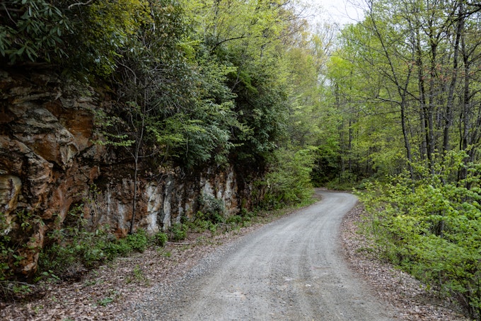 A gravel road leads past a rock wall covered in ferns and greenery.