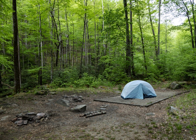 A tent sits on a tent pad at a campground surrounded by lush forest.