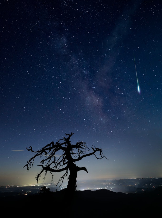 A meteor flies past the milky way and a scraggly tree is silhouetted against city lights in the distance.