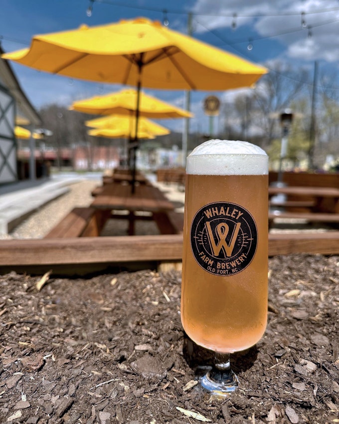 The camera is focused on a glass of beer with a Whaley Farm Brewery logo. The glass is sitting in a planter box with wood chips and there are umbrellas, tables, and blue sky out of focus in the background.