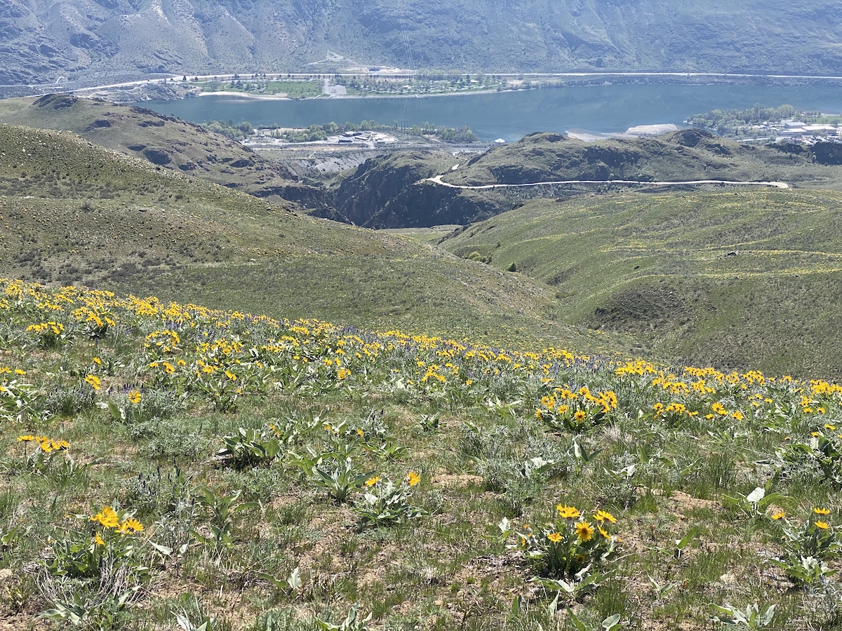 Chelan Butte