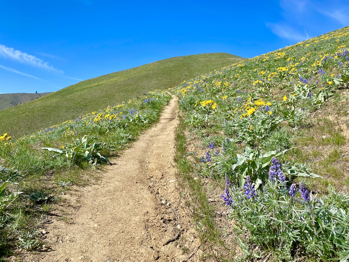 Chelan Butte