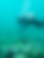 Scuba diver swimming horizontally to a coral reef directly beneath in blue waters at Channel Islands National Park.