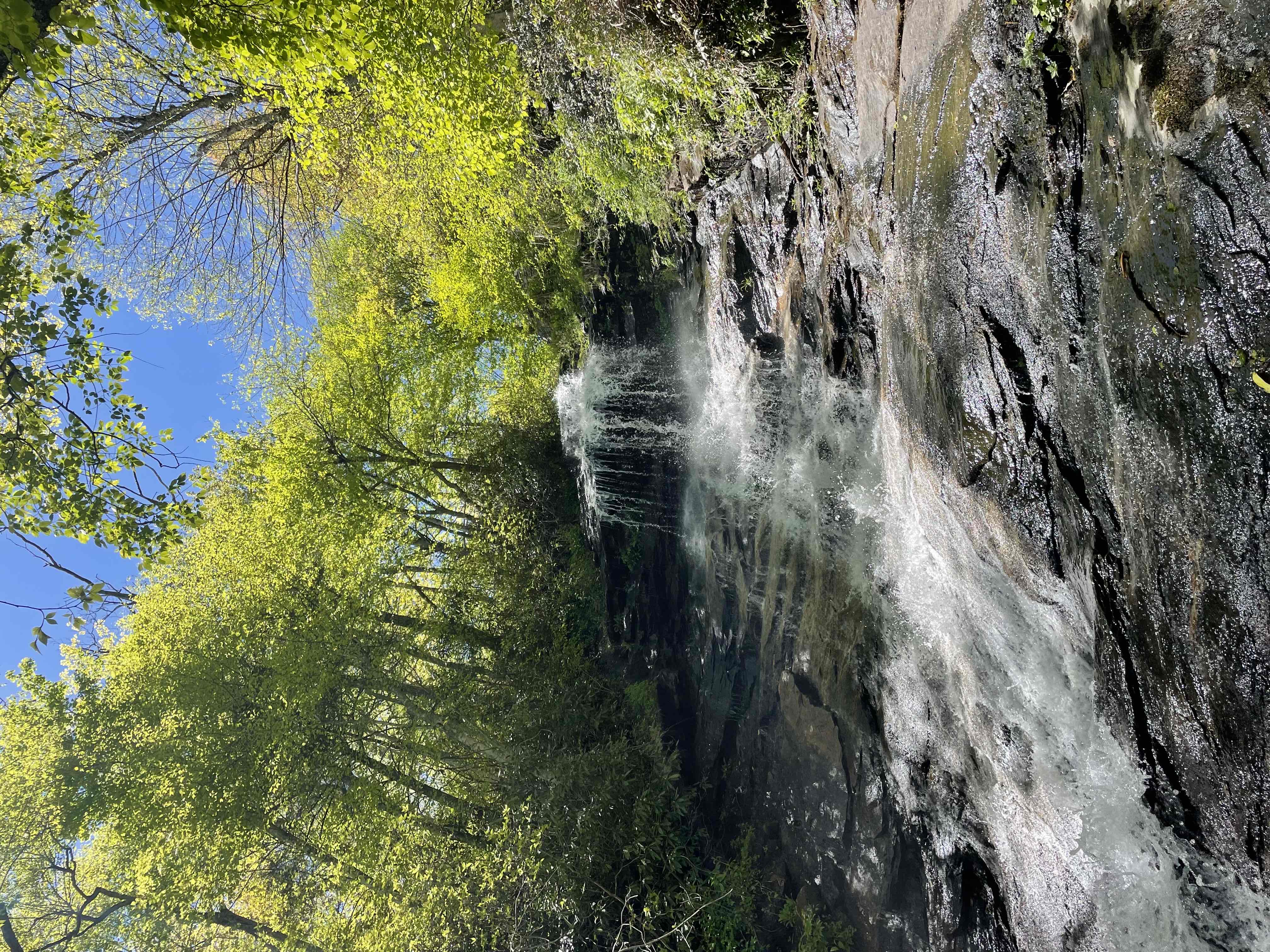 Cascades Trail