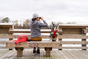 3 Outdoor adventure road trips in North Carolina