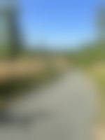 A light colored gravel path leads through a grassy, partially forested area. The sky is blue.