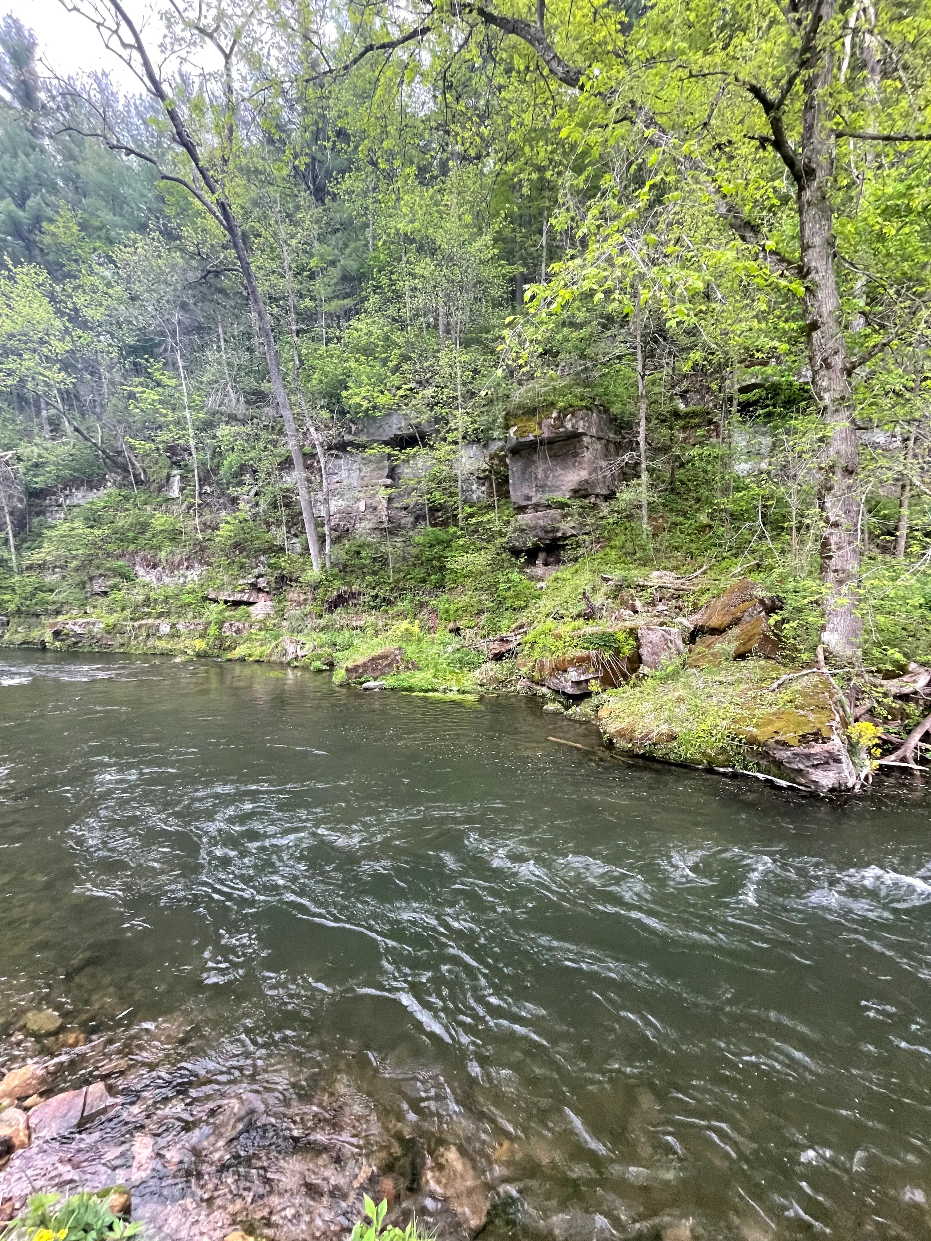 Hike North Bear Creek