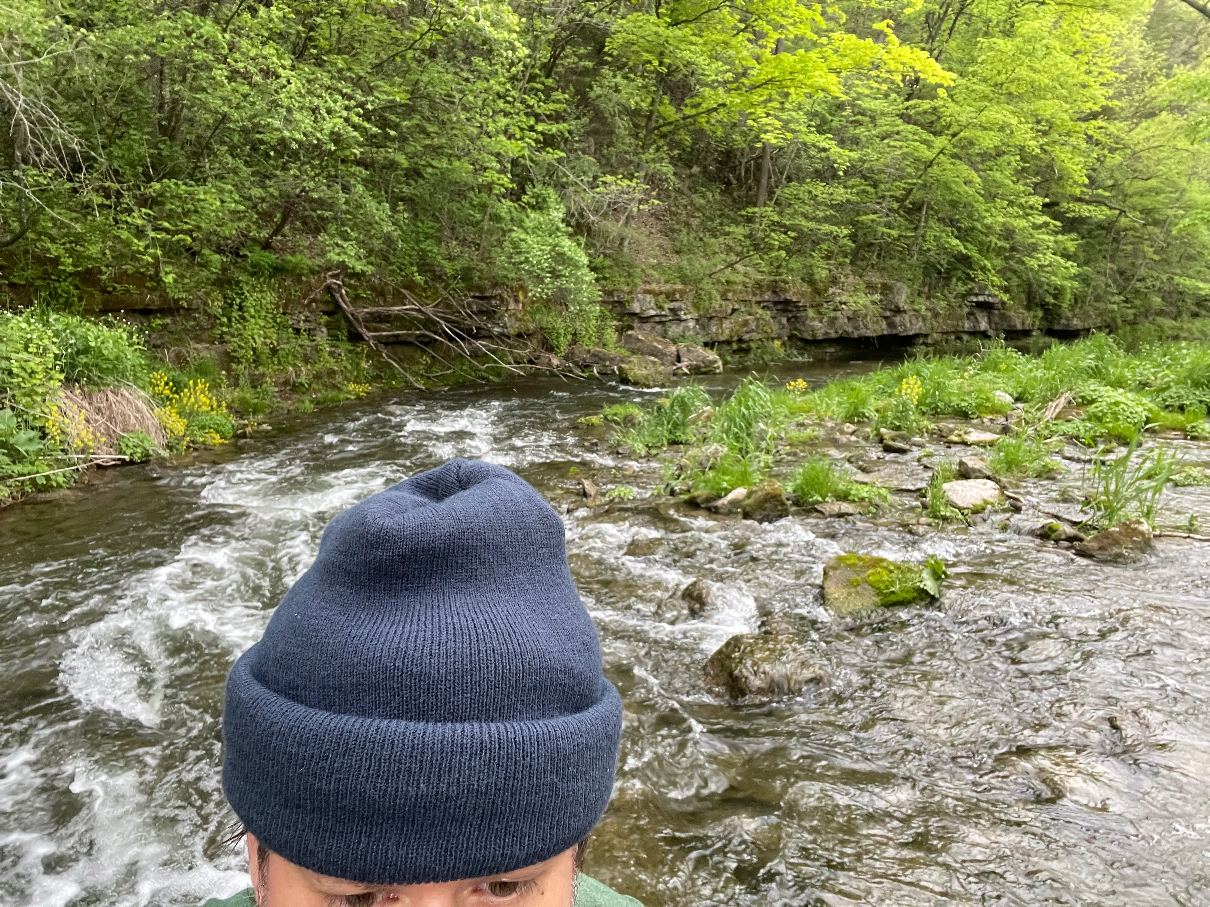 Hike North Bear Creek