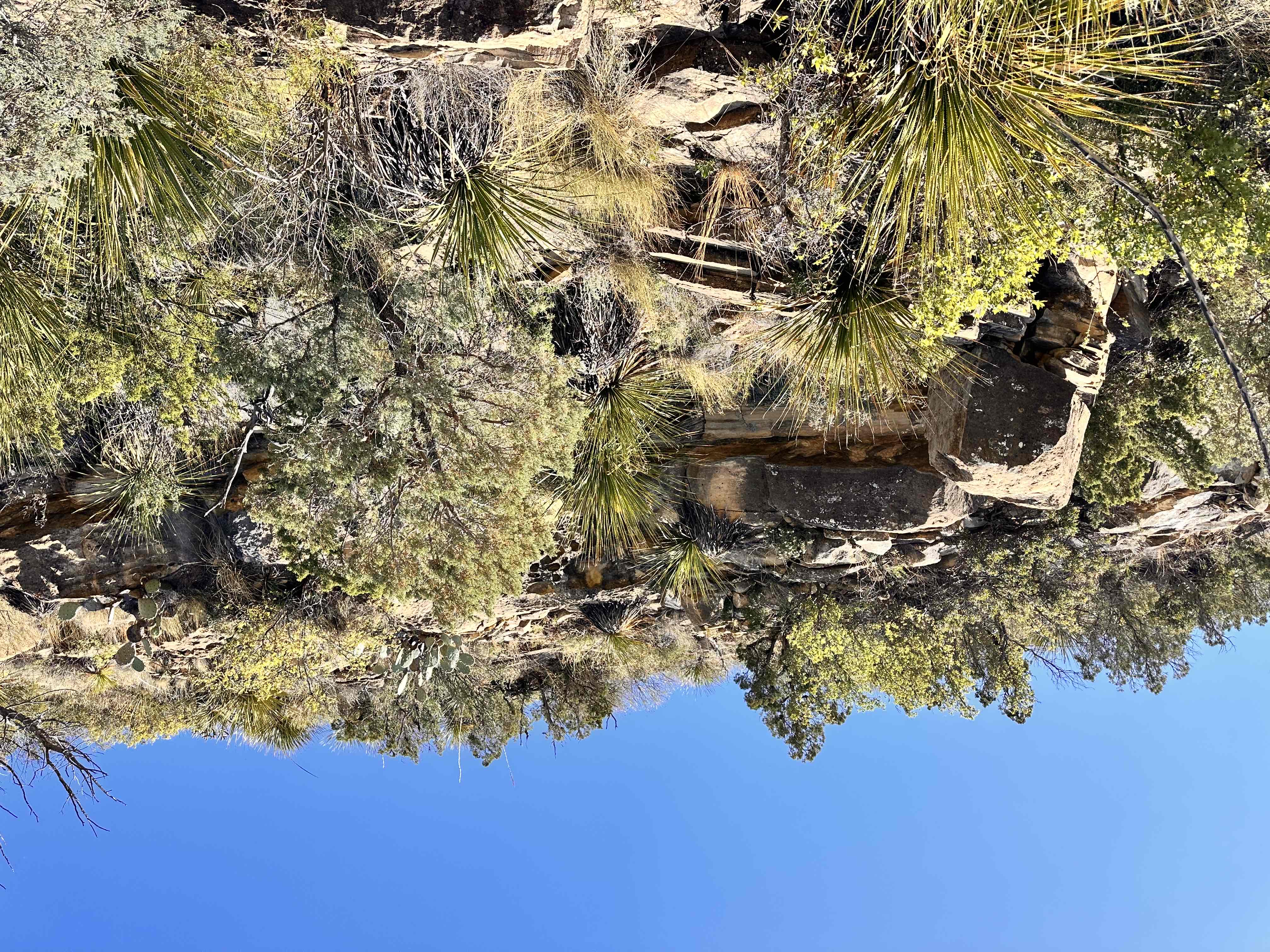 McKittrick Canyon Trail to McKittrick Ridge Campground