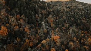 Take this ultimate Blue Ridge Parkway road trip