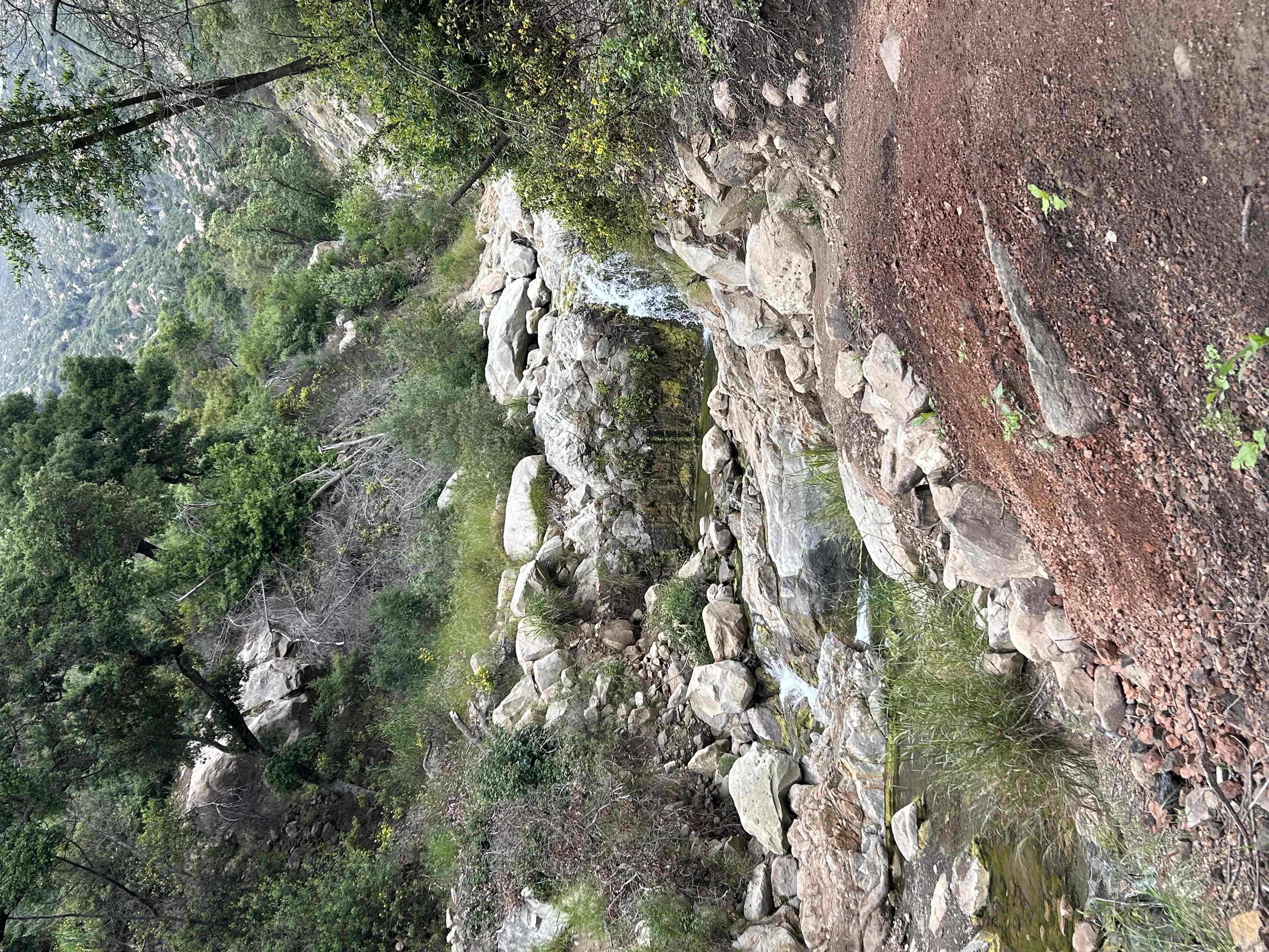 Tangerine Falls