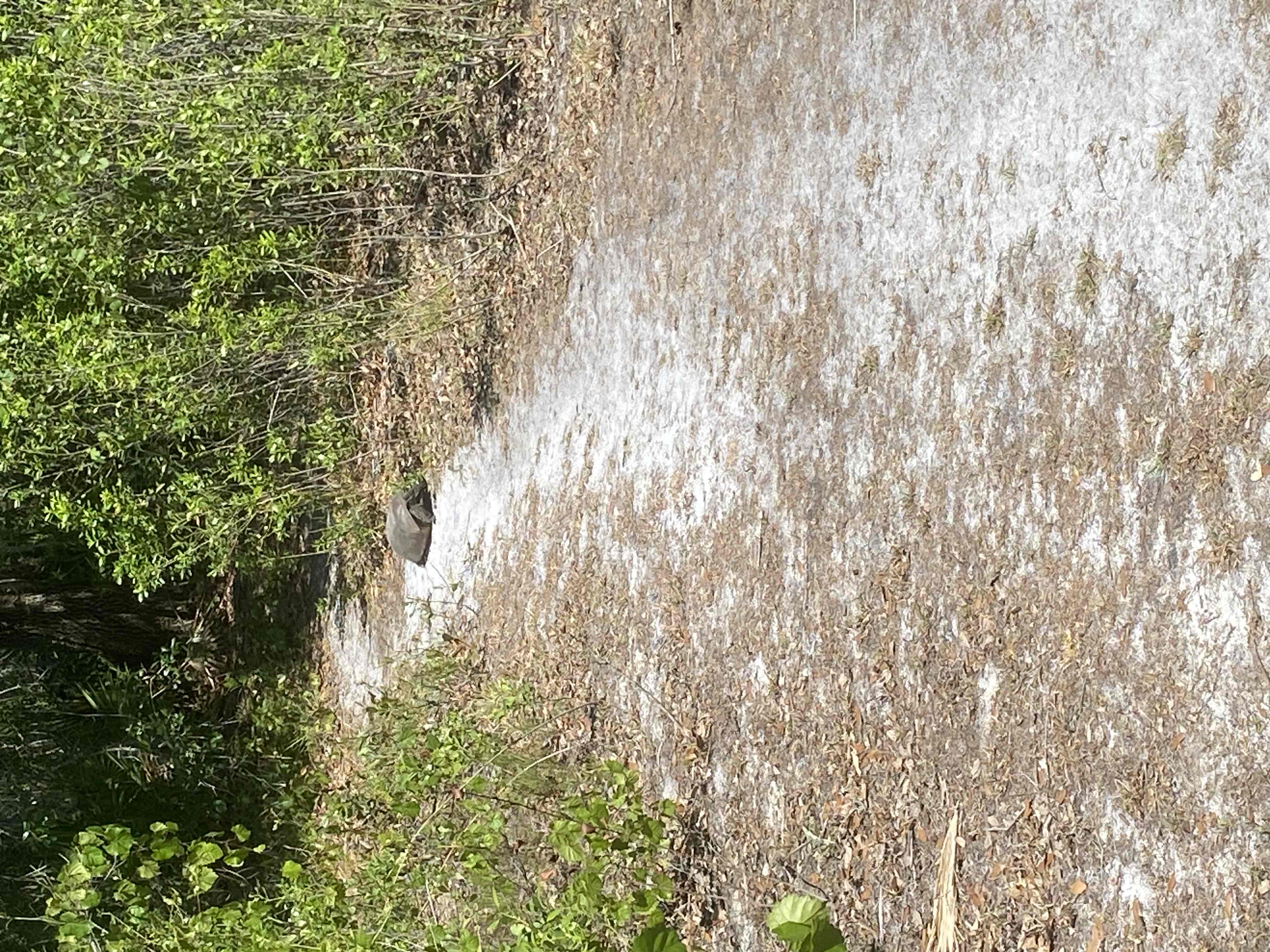 Urfer Family Park Loop, Sarasota, Florida
