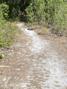 Urfer Family Park Loop