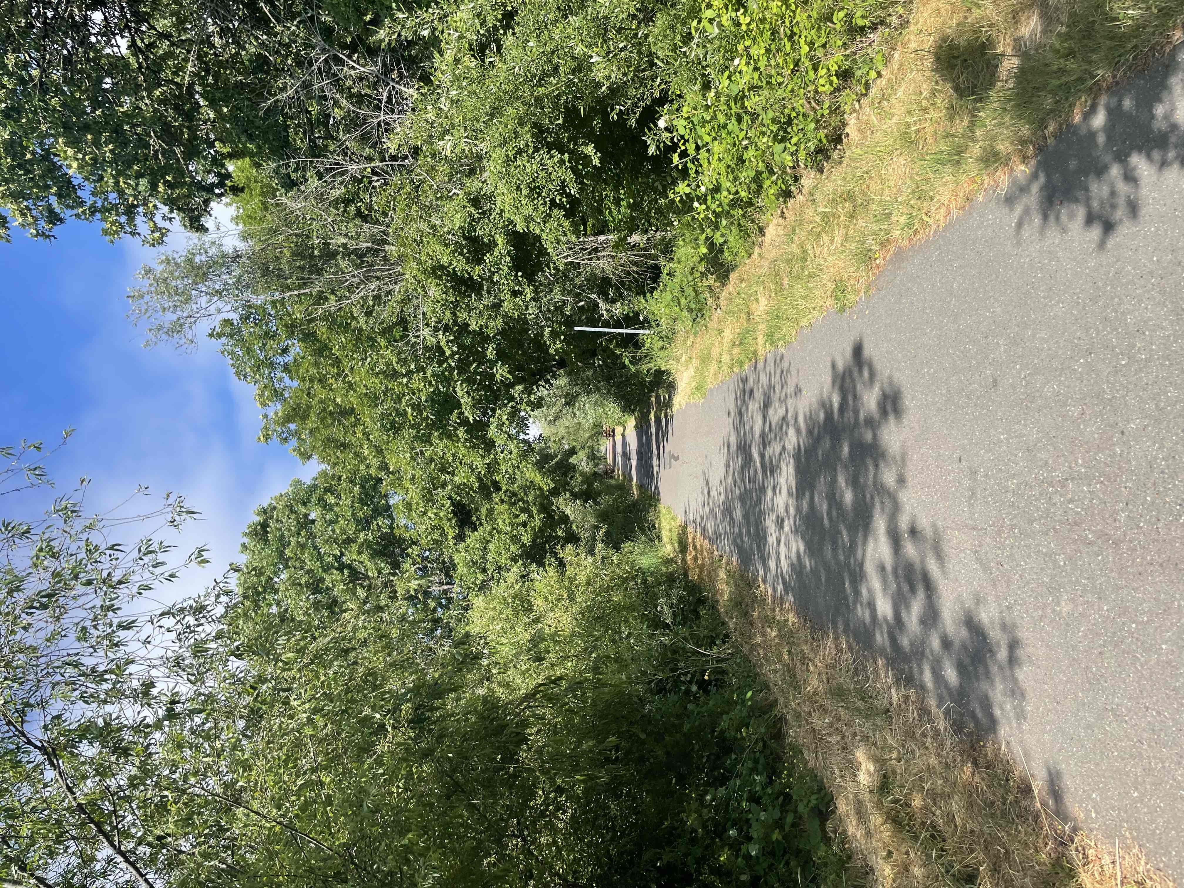 Joe Rodota Trail